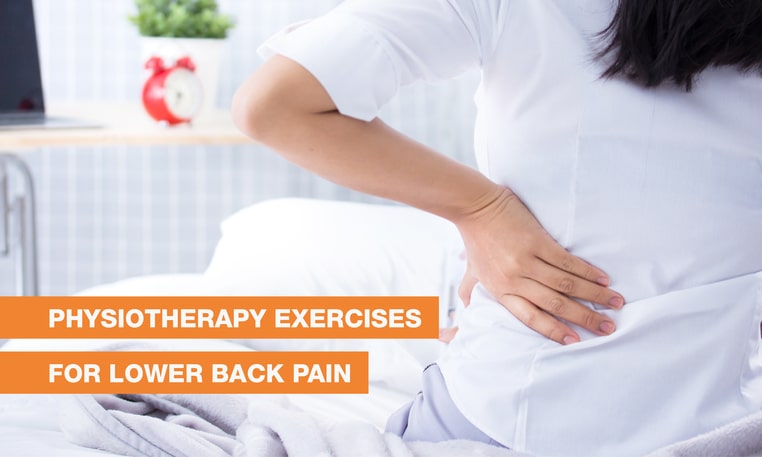 Blog Image - Physiotherapy Exercises For Lower Back Pain